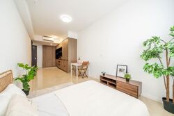 Irwell Hill Residences (D9), Apartment #529599591